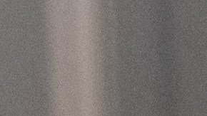 VIDEO: “Commander”, el adorable cachorro de los Biden, se adueña de la Casa Blanca