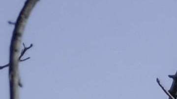 Conflicto Rusia Ucrania Luganks Odesa ataque aéreo bombardeo