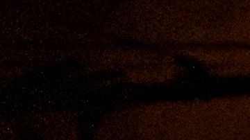 Conflicto Rusia Ucrania Armamento Estados Unidos Unión Europea