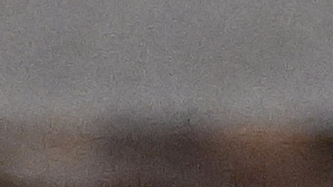 Papa Francisco estaría dispuesto a viajar a Moscú y reunirse con Putin para acabar con la guerra