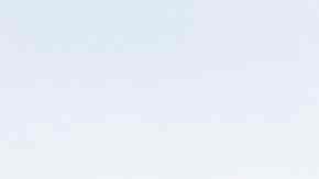 Una gran valla rodea al Tribunal Supremo, donde no cesan las protestas a favor y en contra del aborto.