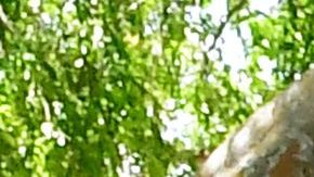 Los casos de COVID están aumentando en Los Ángeles.