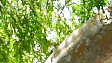 Los casos de COVID están aumentando en Los Ángeles.