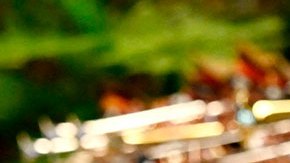 Cuba otorga a AMLO su máxima distinción, la orden José Martí