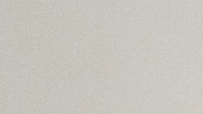 Elecciones primarias en Carolina del Norte