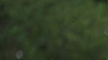 La escuela primaria Robb en Uvalde, Texas, donde murieron 14 niños y un maestro en un tiroteo.