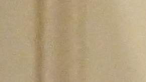 Biden firmó una orden ejecutiva de reforma policial que afecta a agentes federales.