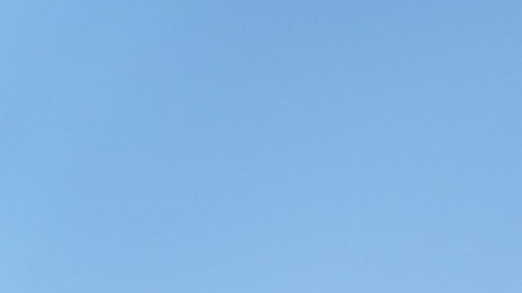 Varias agencias policiacas atendieron la emergencia del tiroteo en Texas.