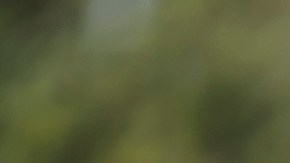 Tiroteo en Uvalde: Autoridades reconocen que el autor de la matanza no encontró resistencia en la escuela