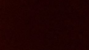 Greg Abbott, gobernador de Texas