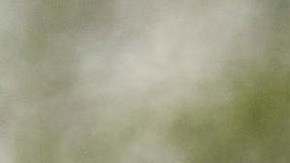 Kamala Harris y su esposo colocan flores en ofrenda a las víctimas del tiroteo en Buffalo, NY.