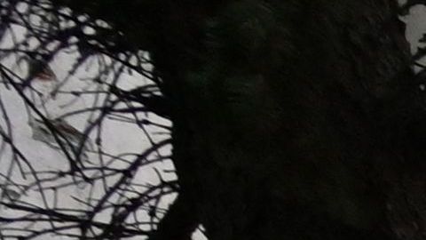 Bombas y misiles han estado cayendo en ciudades desde que comenzó la guerra en Ucrania.