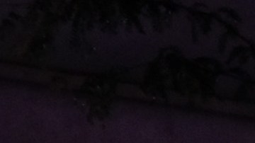 Tiroteos en Chicago dejó nueve muertos y 26 heridos este fin de semana, según la policía