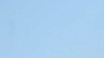 PIRU, CALIFORNIA - JULY 09: A U.S. Coast Guard helicopter flies over Lake Piru, where actress Naya Rivera was reported missing Wednesday, on July 9, 2020 in Piru, California. Rivera, known for her role in "Glee," was reported missing July 8 after her four-year-old son, Josey, was found alone in a boat rented by Rivera. The Ventura County Sheriff’s Department is coordinating a search and recovery operation. (Photo by Amy Sussman/Getty Images)
