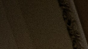 Capitolio Congreso Donald Trump Nazis