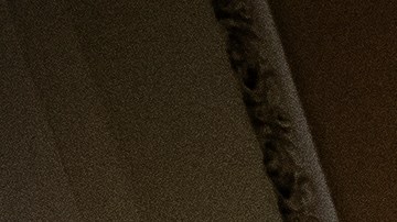 Capitolio Congreso Donald Trump Nazis