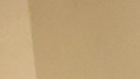 Capitolio Mike Pence Christian Secor Supremacía blanca