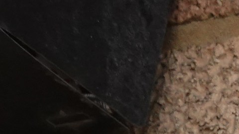 Pensilvania Asesinato Tiroteo