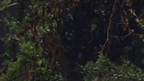 SAN FRANCISCO, CALIFORNIA - JUNE 14: Sprinklers water a lawn at Golden Gate Park on June 14, 2021 in San Francisco, California. As the severe drought emergency takes hold in California, several Bay Area counties have imposed restrictions for watering lawns that range from only a few days a week to no watering at all. According to the U.S. Drought Monitor, at least 16 percent of California is in exceptional drought, the most severe level of dryness. (Photo by Justin Sullivan/Getty Images)