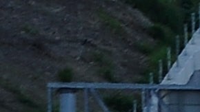 LOS ANGELES, CA - NOVEMBER 23: Traffic comes to a stand still on the northbound and the southbound lanes of the Interstate 405 freeway near Los Angeles International Aiprort on November 23, 2011 in Los Angeles, California. Orbitz named LAX as the nation's busiest airport for 2011 Thanksgiving travel. (Photo by Kevork Djansezian/Getty Images)