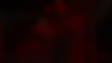 El tenista suizo Roger Federer no juega en torneos oficiales desde el 7 de julio de 2021.