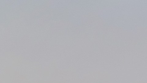 Familias denuncian manipulación de evidencias en casos de muerte de migrantes