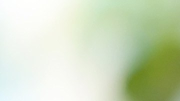 El gobernador de California, Gavin Newsom.