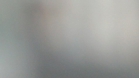 El equipo de Los Ángeles derroto 2-0 y aseguró el liderato de la Conferencia Oeste de la MLS.