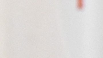 Eva Longoria | Araya Doheny/Getty Images for Poderistas.