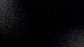 Partido Republicano Supremacismo Blanco Liz Cheney