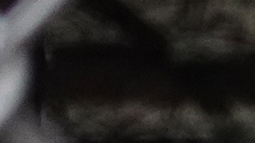 Grand Rapids Michigan Tiroteo