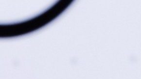 Chiquis Rivera | Greg Doherty/Getty Images.