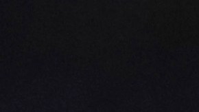 Shakur Stevenson, monarca supepluma del CMB y la OMB.