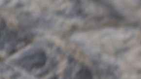 Un hombre en Florida buscaba frisbee y muere tras ataque de caimán