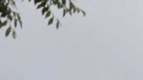 El Tribunal Supremo está cercado para impedir las protestas a favor y en contra del aborto.