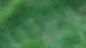 Sonny León, jinete venezolano, y su caballo Rich Strike, ganadores del Kentucky Derby 2022.