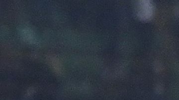 El AC Milán esta a dos partidos de quedar campeón en la Serie A.