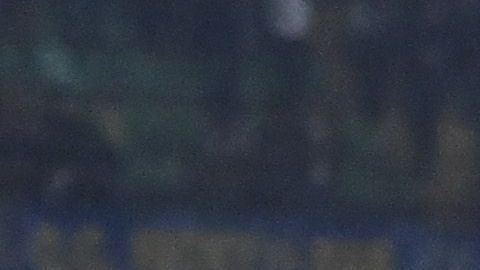 El AC Milán esta a dos partidos de quedar campeón en la Serie A.