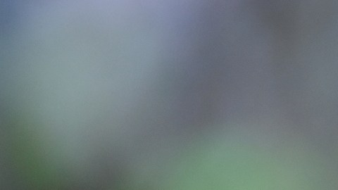 Robert Lewandowski se despide del Bayern Múnich.