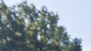 Joe Biden dice que no enviará a Ucrania misiles de largo alcance a Ucrania