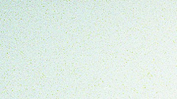 Nelson Mandela formó un “Gobierno de Unidad Nacional” multirracial y proclamó al país como una “nación arcoíris en paz consigo misma y con el mundo”.