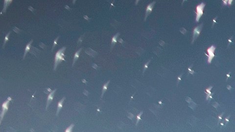 ¿Es la orina humana la respuesta a la actual escasez de fertilizantes?