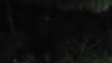 SAN DIEGO, CA - FEBRUARY 7: California Highway Patrol officers stand guard as police officers search for suspect, former LAPD officer Christopher Jordan Dorner, at a hotel in the Point Loma area February 7, 2013 in San Diego, California. A manhunt is underway for Dorner, who is suspected of shooting at police officers in the Los Angeles area. (Photo by Denis Poroy/Getty Images)