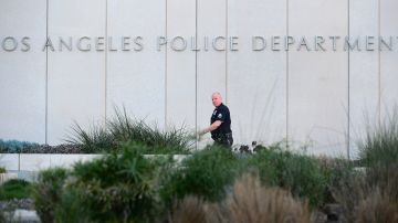 A Los Angeles Police Department (LAPD) officer walks to police headquarters in downtown Los Angeles on February 12, 2013 in California, where media are gathered in regards to the case of suspected cop killer Christopher Dorner. The LA Times reported a single gunshot was heard as police moved in on a mountain cabin where Dorner was believed to be barricaded in Big Bear, some 100 miles east of downtown Los Angeles. Meanwhile, a Los Angeles Police Department (LAPD) spokesman was cited as saying the force believed Dorner died inside the burning cabin in the mountains. AFP PHOTO / Frederic J. BROWN (Photo credit should read FREDERIC J. BROWN/AFP via Getty Images)