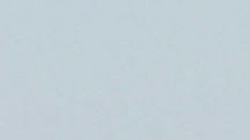 AT SEA - MARCH 23: In this handout from the U.S. Coast Guard, Coast Guard Cutter Kingfisher provides assistance to NOAA Fisheries and Florida Fish and Wildlife Conservation Commission members in the attempts to free an entangled Northern Right Whale 60 miles east of Jacksonville, Florida, on March 23, 2004, at sea. (Photo by the U.S. Coast Guard via Getty Images)