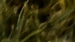 Descubren hebras de metal en dulces y anuncian retiro de caramelos en Canadá, Estados Unidos y México