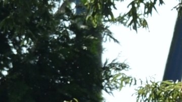 Chattanooga Tennessee Tiroteo