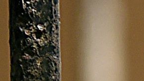 Se cumplen 20 años del aterrador ataque de “Frodo”, el chimpancé que se comió a una niña luego de arrebatársela a su madre