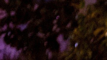 ANAHEIM, CA - MAY 25: Police arrest a protester after declaring an unlawful assembly following a campaign rally by presumptive GOP presidential candidate Donald Trump at the Anaheim Convention Center earlier in the day on May 25, 2016 in Anaheim, California. Previous visits by the candidate to Orange County have sparked protests that resulted in some arrests. The presidential candidates are campaigning in Southern California for the June 7 California primary. (Photo by David McNew/Getty Images)