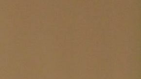 Ricardo Montaner | ALFREDO ESTRELLA/AFP via Getty Images.